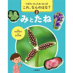 つぼみ・みとたね・はっぱ　これ、なんのはな？　②みとたね [全集叢書]