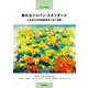 新たなジャパン・スタンダード―小中高大の英語教育をつなぐ指導(CEFR準拠) [単行本]