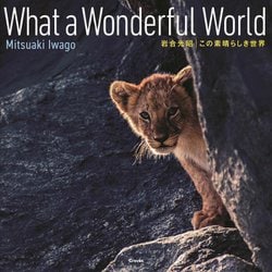 この素晴らしき世界 What a Wonderful World [単行本]
