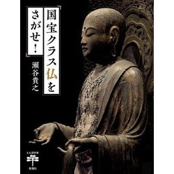 国宝クラス仏をさがせ!(とんぼの本) [全集叢書]