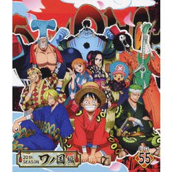 DVD ONE PIECE ワンピース 20th ワノ国編 1〜54巻セット(未完