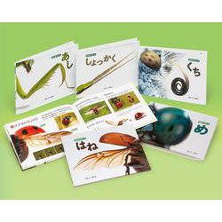 虫のからだ（全5）(学校・公共図書館向けシリーズ) [図鑑]