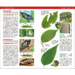 ヨドバシ.com - 昆虫と食草ハンドブック [図鑑] 通販【全品無料配達】