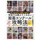学校では教えてくれない絵画コンクール攻略法―賢い子供が育つ!受験にも役立つ! 子供向け有名絵画コンクールの傾向と対策 [単行本]