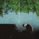 ビル・エヴァンス／雨の日のビル・エヴァンス