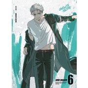WIND BREAKER 6