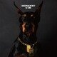 DOBERMAN INFINITY／1st SONG