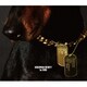 DOBERMAN INFINITY／1st SONG