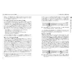 なぜ依存を注入するのか　DIの原理・原則とパターン (Compass Booksシリーズ)／Steven van Deursen、Mark Seemann なぜ依存を注入するのか DIの原理・原則とパターン (Compass