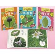 つぼみ・みとたね・はっぱ これ、なんのはな？（全3巻セット） [全集叢書]