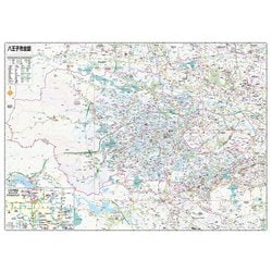 ヨドバシ.com - 都市地図東京都 八王子市(都市地図東京都) [全集