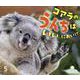 コアラのうんちはいいにおい！？（サンチャイルド・ビッグサイエンス 2024年 5月） [絵本]