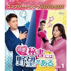 可愛い秘書には野望がある BOX1 <コンプリート・シンプルDVD-BOX> [DVD]