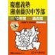 慶應義塾湘南藤沢中等部 2025年度用-10年間（＋3年間HP掲載）スーパー過去問（声教の中学過去問シリーズ） [全集叢書]