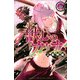 獣心のカタナ（3）(講談社コミックス) [コミック]