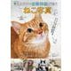 増補版 見るだけで自律神経が整う かわいいねこ写真(GW MOOK<903>) [ムックその他]