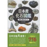 日本産化石図鑑―採集と標本の作り方 [図鑑]