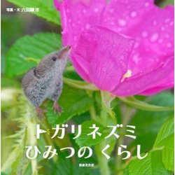トガリネズミひみつのくらし(世界文化社のワンダー絵本) [絵本]