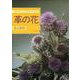 革の花（新制作技法シリーズ） [全集叢書]