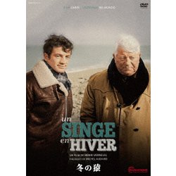 冬の猿 [DVD]
