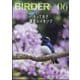 BIRDER (バーダー) 2024年 06月号 [雑誌]