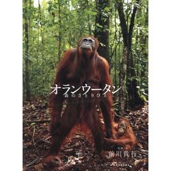 オランウータン―森のさとりびと [単行本]