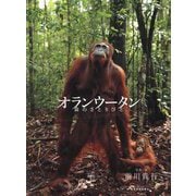 オランウータン―森のさとりびと [単行本]