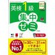 DAILY31日間英検1級集中ゼミ 7訂版 (旺文社英検書) [単行本]