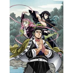 鬼滅の刃 柱稽古編 第三巻 [DVD]