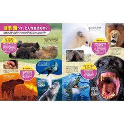動物に関する教科書セット 第2版 【総額24000円】 ヨドバシ.com - 動物 新訂2版 (講談社の動く図鑑MOVE) [図鑑