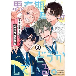 思春期男子はどうかしている。（３）<3>(電撃コミックスＮＥＸＴ) [コミック]