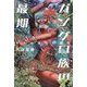 ガングロ族の最期―ギャル文化の研究 [単行本]