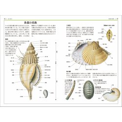 貝類図鑑 ヨドバシ.com - 貝類図鑑(自然科学ハンドブック) [全集叢書