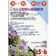 演劇と教育 2024年 06月号 [雑誌]