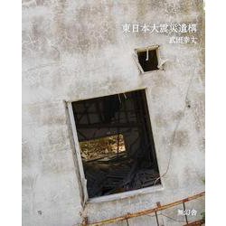 東日本大震災遺構 [単行本]