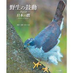 野生の鼓動〈Part2〉日本の鷹 [単行本]