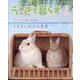 季刊うさぎと暮らす 2024年 07月号 [雑誌]
