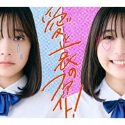 愛と哀のファイト!