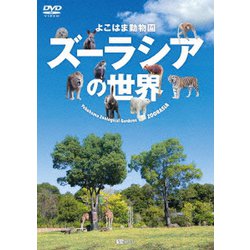 よこはま動物園ズーラシアの世界 Yokohama Zoological Gardens ZOORASIA (シンフォレストDVD) [DVD]