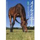 メイケイエール公式メモリアルブック [単行本]