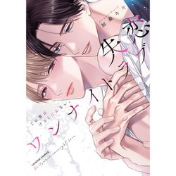 失恋ワンナイトラブ～この男はずるくてあまい。(caramelコミックス) [コミック]