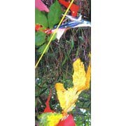 手のひらたちの蜂起/法規(いぬのせなか座叢書〈6〉) [単行本]