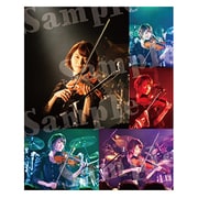 Ayasa/Postcard 新横浜のあやさ