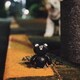 (夜と)SAMPO／モンスター