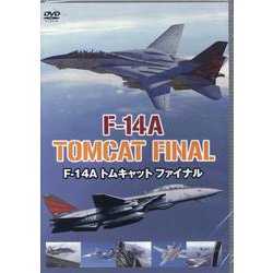 F-14A トムキャット ファイナル [磁性媒体など]