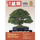 近代盆栽 2024年 08月号 [雑誌]