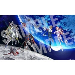 ガンダムSEED FREEDOM ヨドバシ限定特典 カガリアスランB2布