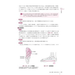 【裁断済み】膠原病コンサルの手引き : その相談の根拠・原因,説明できますか? 膠原病コンサルの手引き: その相談の根拠・原因,説明できますか