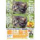 こねこのまちがいさがし（G-MOOK） [ムックその他]