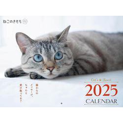 猫のきもち 即購入OK❤️20259月号付録つきネコ型ブラシねこのきもち9号 猫